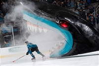 Tomas Hertl mug #G1805917