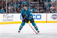 Tomas Hertl mug #G1805921