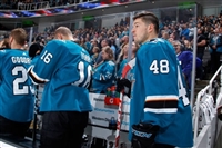 Tomas Hertl mug #G1805938
