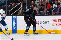 Tomas Hertl Longsleeve T-shirt #3563771