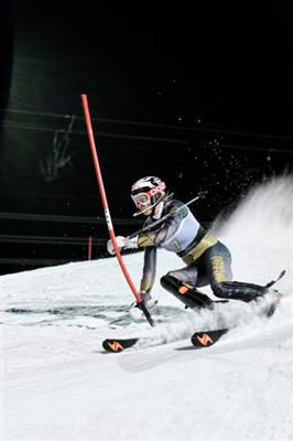 Tonje Healey Trulsrud posters