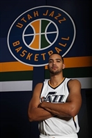 Trey Lyles hoodie #3422667