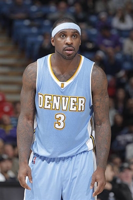 Ty Lawson puzzle 3417529