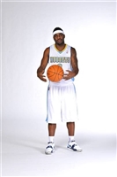 Ty Lawson tote bag #G1660133