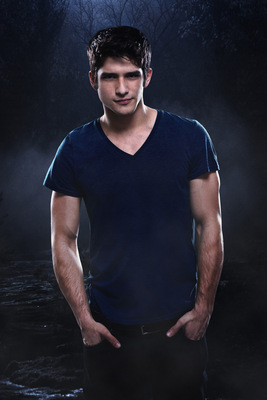 Tyler Posey puzzle 2227521