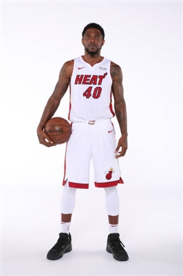 Udonis Haslem Poster 3403485
