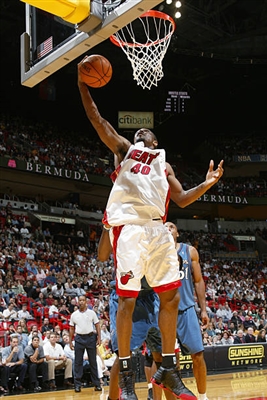 Udonis Haslem Poster 3403524
