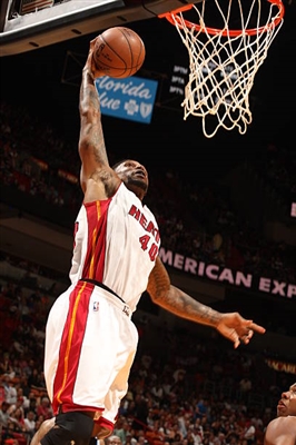 Udonis Haslem Poster 3403541