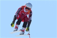 Valerie Grenier hoodie #3640706