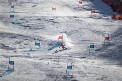 Valerie Grenier posters