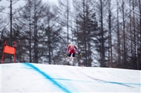 Valerie Grenier longsleeve t-shirt #3640715