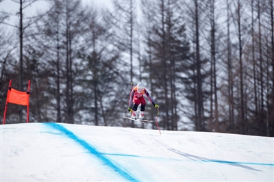 Valerie Grenier posters