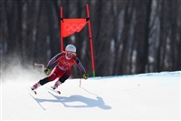 Valerie Grenier tote bag #G2250812