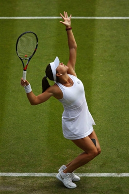 Venus Williams posters