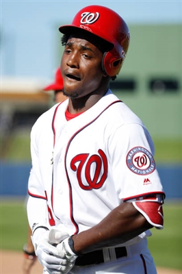 Victor Robles wood print