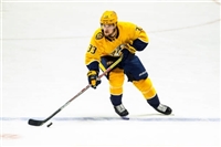 Viktor Arvidsson mug #G1788792