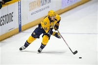 Viktor Arvidsson Sweatshirt #3546658