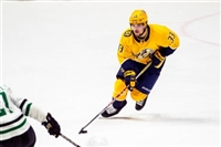 Viktor Arvidsson Longsleeve T-shirt #3546725