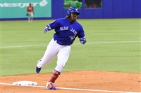 Vladimir Guerrero Jr. magic mug #G1723040
