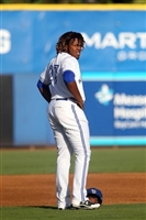Vladimir Guerrero Jr. magic mug #G1723055