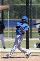 Vladimir Guerrero Jr. mug #G1723065