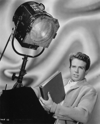 Warren Beatty posters