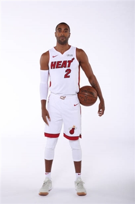 Wayne Ellington posters