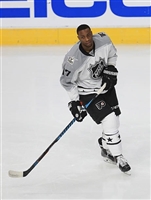 Wayne Simmonds hoodie #3548561