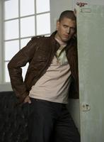 Wentworth Miller Sweatshirt #2217603