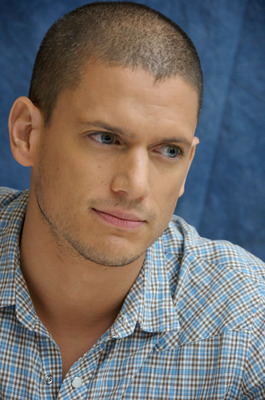 Wentworth Miller puzzle 2236679