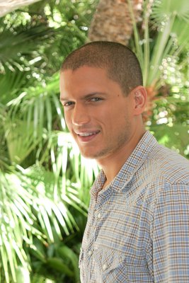 Wentworth Miller puzzle 2239536