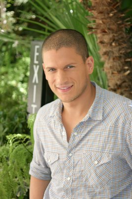 Wentworth Miller puzzle 2239545