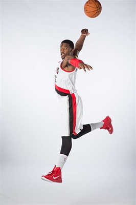 Wesley Matthews posters