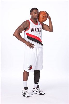 Wesley Matthews posters
