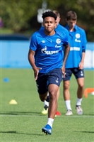 Weston Mckennie tote bag #G2320491