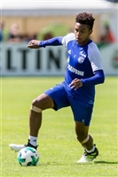 Weston Mckennie tote bag #G2320592