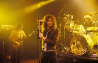 Whitesnake Sweatshirt #2656194