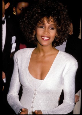Whitney Houston stickers 1441272