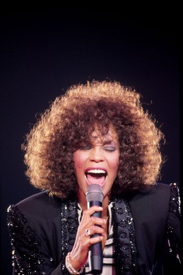 Whitney Houston stickers 2661995