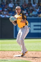 Willy Adames Sweatshirt #3481250