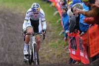 Wout Van Aert mug #G2321615