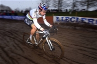 Wout Van Aert mug #G2321617