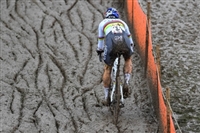 Wout Van Aert mug #G2321685