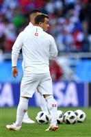 Xherdan Shaqiri longsleeve t-shirt #3358146