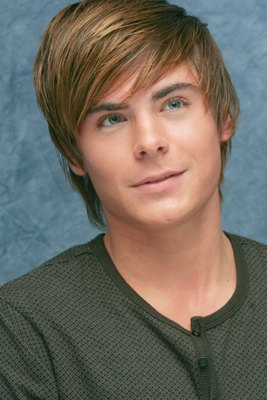 Zac Efron puzzle 2232344