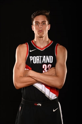 Zach Collins posters