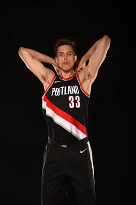 Zach Collins Poster 3383784