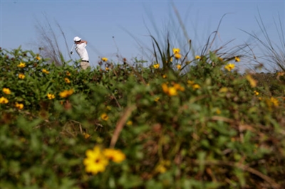 Zach Johnson posters