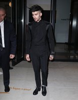 Zayn Malik Sweatshirt #2960523