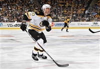 Zdeno Chara Sweatshirt #3579210